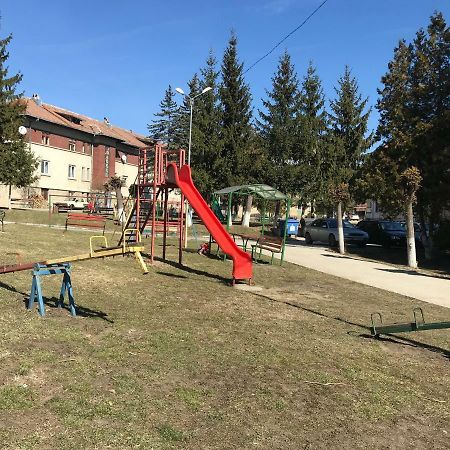 Ferienwohnung Garsoniera Mandrilor Slănic Exterior foto
