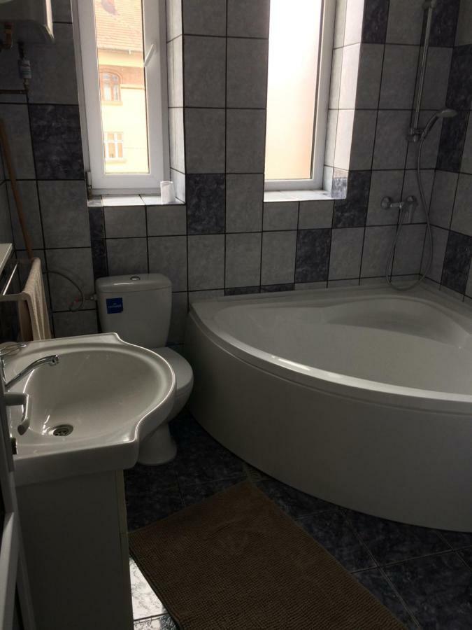 Ferienwohnung Garsoniera Mandrilor Slănic Exterior foto