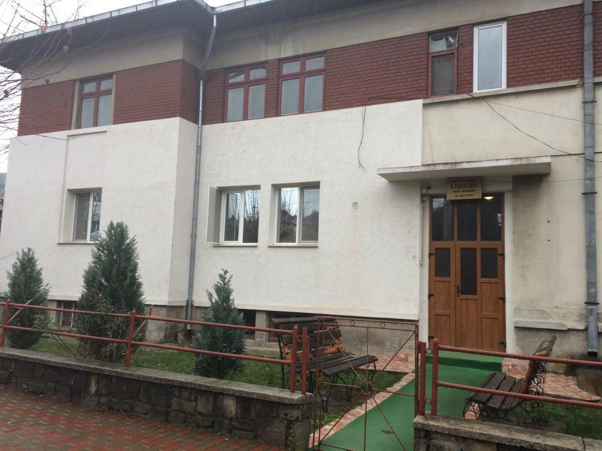 Ferienwohnung Garsoniera Mandrilor Slănic Exterior foto